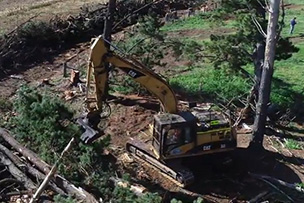 Excavator-tree-removal-orange-nsw